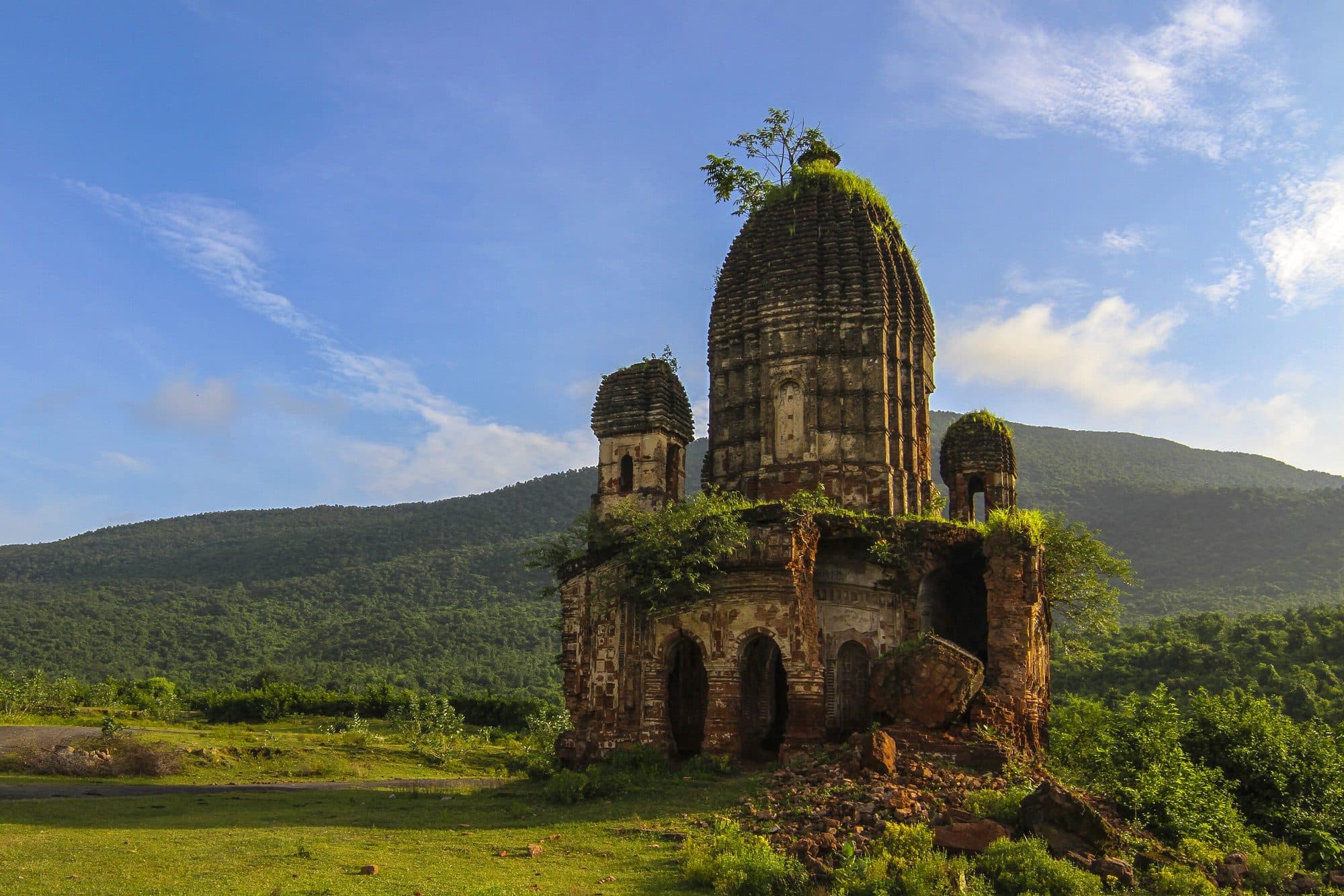The ruined brick Pancharatna temple at Garpanchakot, overgrown with plants below the forested Panchet hill
