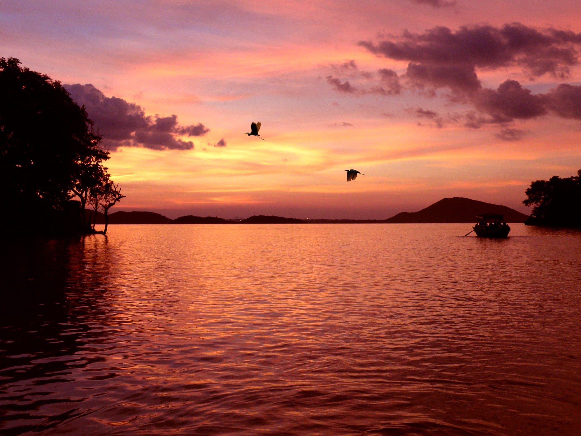A boat on Maithon reservoir at sunset, with egrets in flight and low hills on the horizon