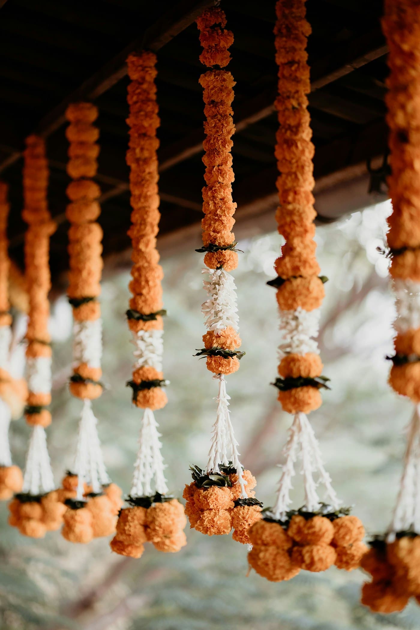 Strings of orange marigolds hanging as a festive curtain
